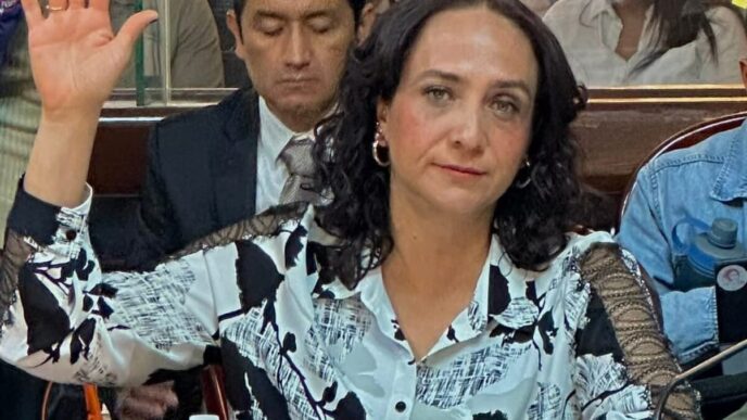 Aline Dávila, la regidora que engaña a los ciudadanos y al SAT